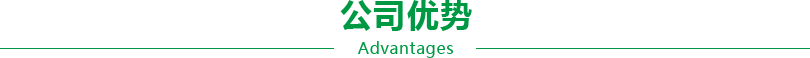 公司优势